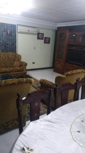 Fully furnished luxurious apartment in the center of new cairo